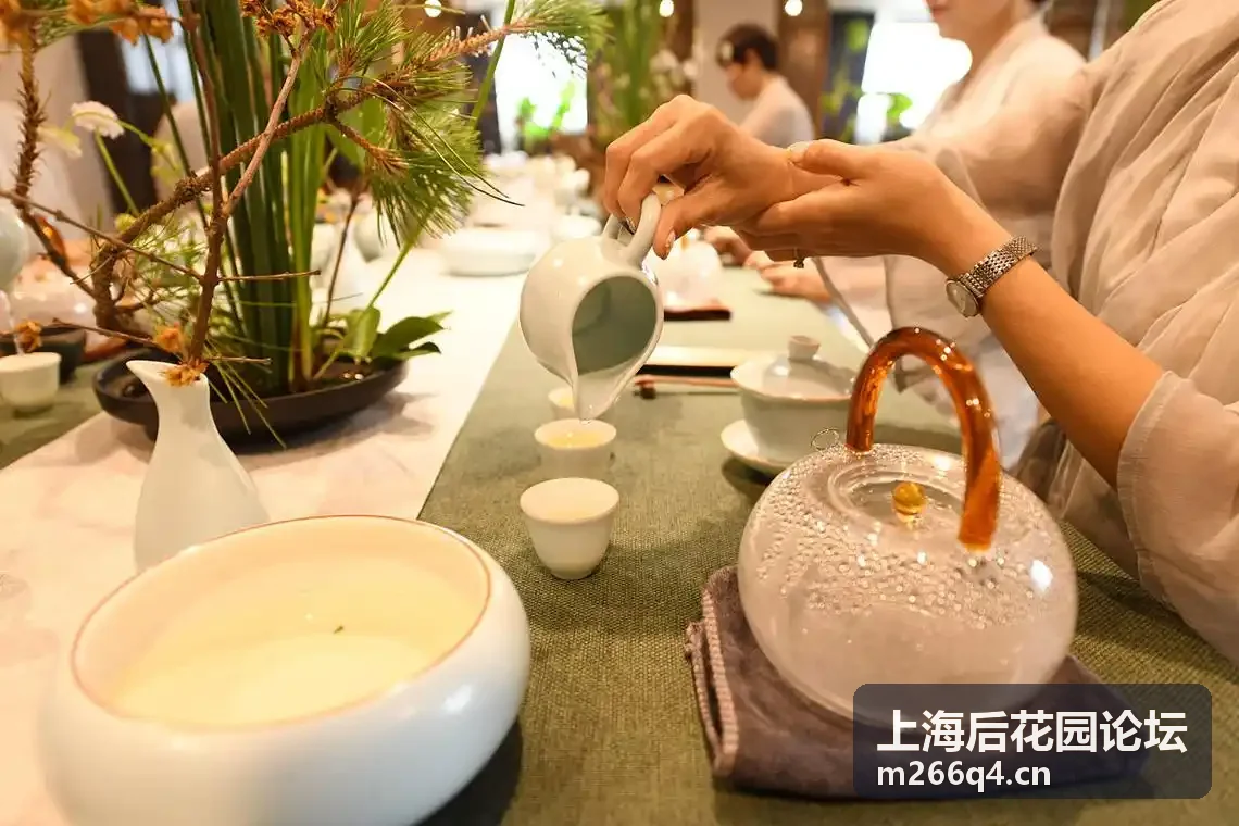 上海后花园论坛休闲玩乐分享